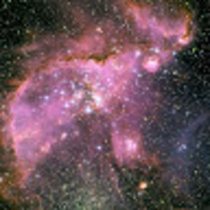 Meet your Posher, Iris